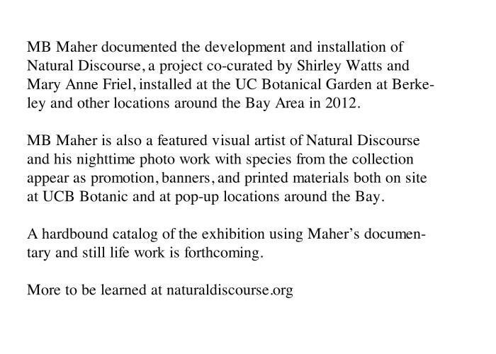 http://mx20.mbmaher.com/files/gimgs/th-4_natural.jpg